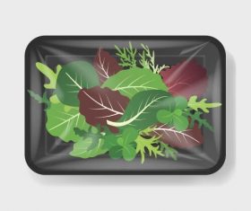 Various vegetable vacuum preservation plastic containers vector