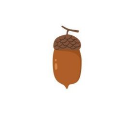 Acorn vector