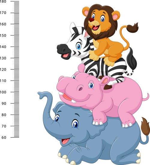 Animal height measurement cartoon vector