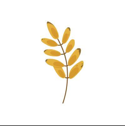 Ash leaf vector