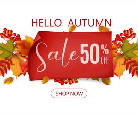 Autumn half price promotion poster vector