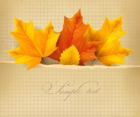 Autumn leaves vector on graph paper