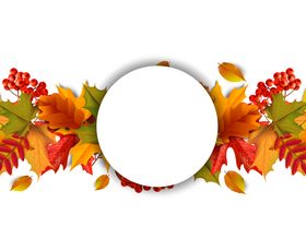 Beautiful autumn leaves background vector