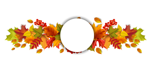 Beautiful autumn leaves background vector