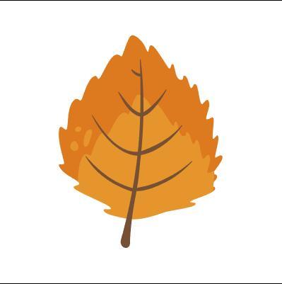 Birch leaf vector