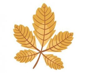 Chestnut leaf vector
