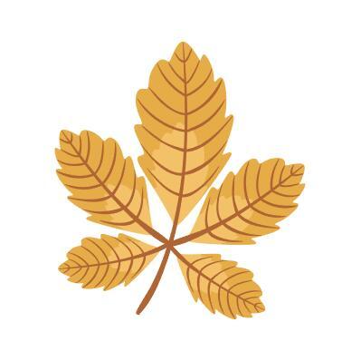 Chestnut leaf vector