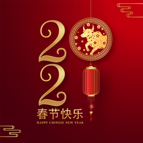 Chinese element new year 2021 colorful design vector
