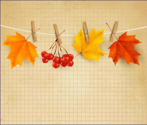 Collection autumn leaves vector