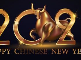 Copper Bull 2021 New Year Vector