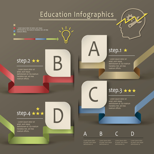 Education infographic options vector