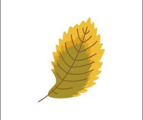 Elm leaf vector