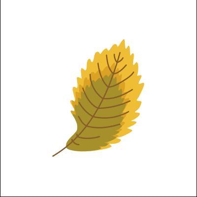 Elm leaf vector