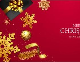 Golden snowflake decoration christmas card vector