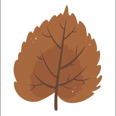 Mulberry leaf vector