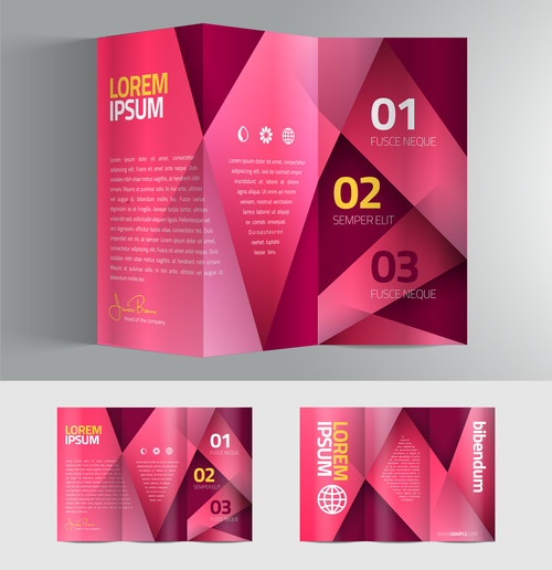 Pink stripe brochure vector