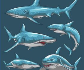 Shark hand drawn illustration vector