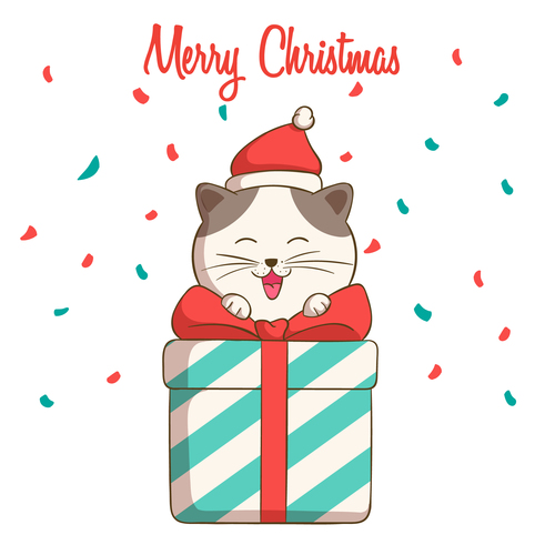 Smiling cat and gift christmas card vector