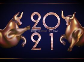 Two copper bulls 2021 new year vector