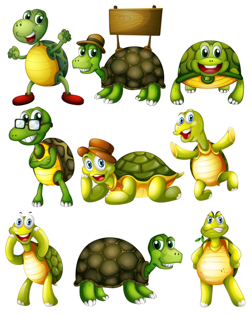 All kinds of turtle cartoon vector