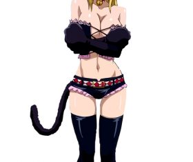 Angry catwoman vector