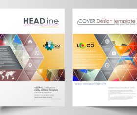Brochure flyer vector