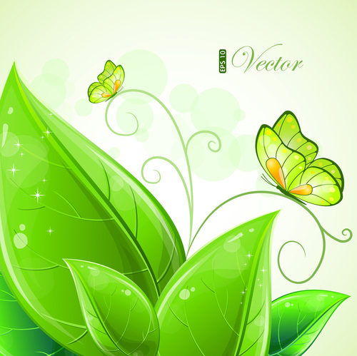 Butterfly and green leaf background vector