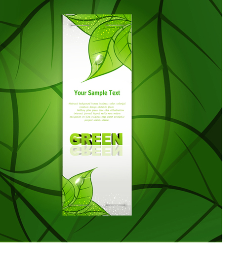 Green leaf background text design vector