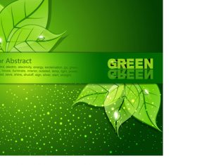 Green leaf background vector