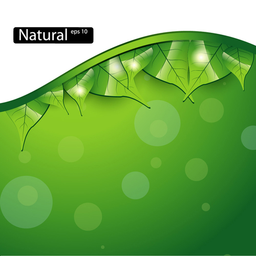 Natural background vector
