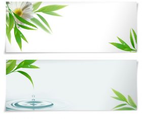 Plant banner vector