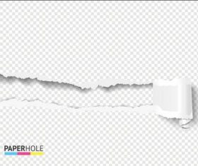 Roll up ripped paper background vector