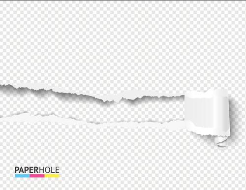 Roll up ripped paper background vector