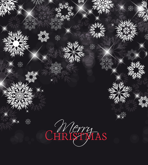 Snowflake background christmas greeting card vector