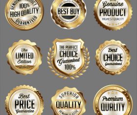 The perfect choice label sticker vector