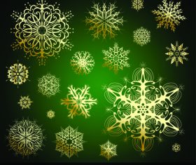 Various gold snowflakes vector
