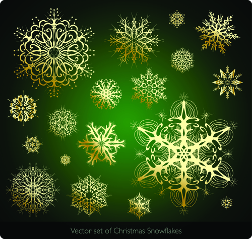 Various gold snowflakes vector