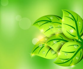 Water drops on green leaf background vector