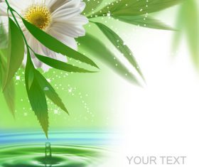 White flowers and green leaves vector