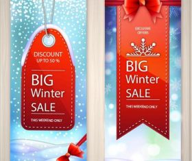 Banner winter sale vector