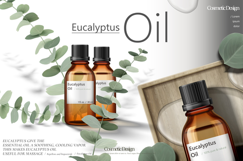 Eucalyptus oil advertising vector