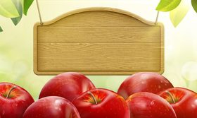 Red apple and wooden billboard vector