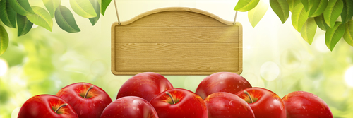 Red apple and wooden billboard vector