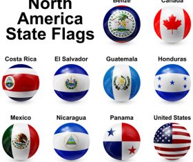 Spherical north america state flags vector