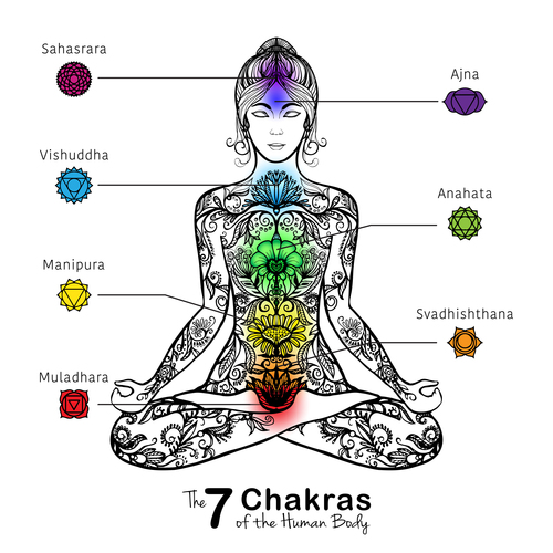 The 7 chakras of the human body vector