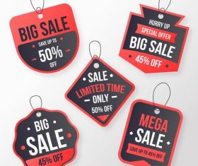 Big sale flat label design vector