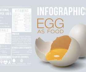 Egg as food infographic vector