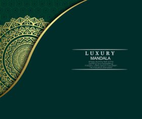 Green background luxury mandala vector