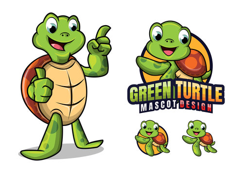 Green turtle cartoon design vector
