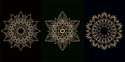 Mandala decoration vector